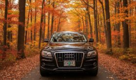 audi q5 2011