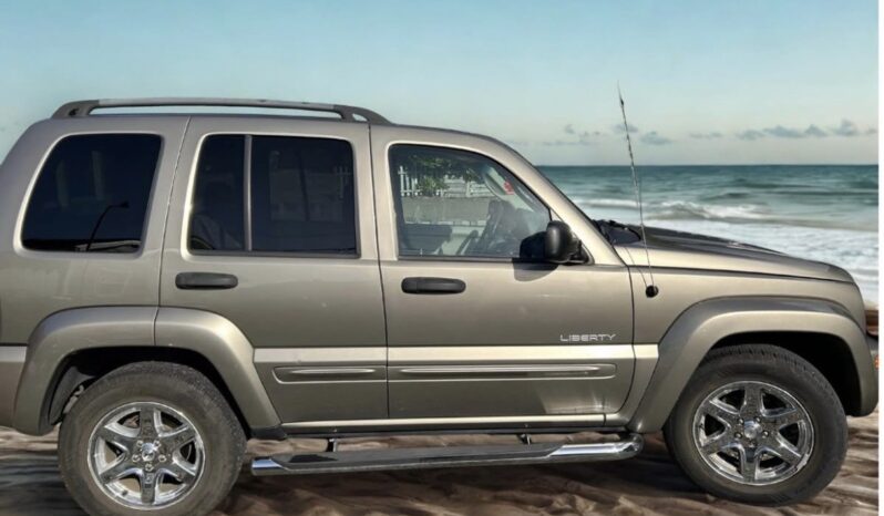 
								Jeep liberty 2004 full									