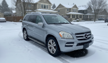 
									2010 Mercedes-Benz GL Class GL 350 full								