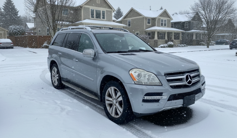 
								2010 Mercedes-Benz GL Class GL 350 full									