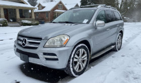 2010 Mercedes-Benz GL Class GL 350